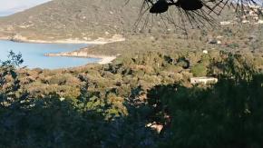 LOCANOMA, Corbara